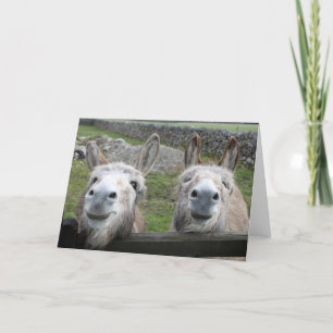 Tarjeta ¡Burros sonrientes!