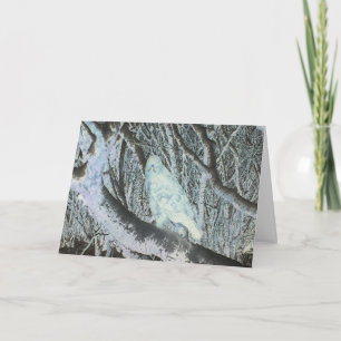 Tarjeta Busardo Sombrío Posado en Arte de Bosque Embrujado