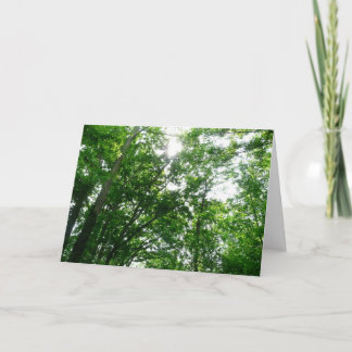 Tarjeta Buscando árboles de verano