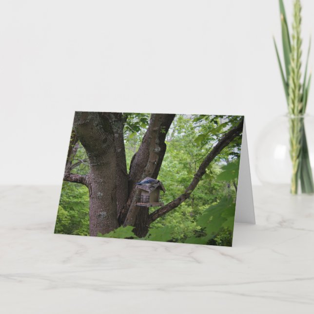 Tarjeta Buscando una cometa para comer (Anverso)