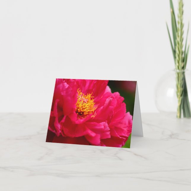 Tarjeta Bush Peonie 2 2013 de Cathy (Anverso)