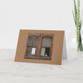 Tarjeta '' Búsqueda de pug ''