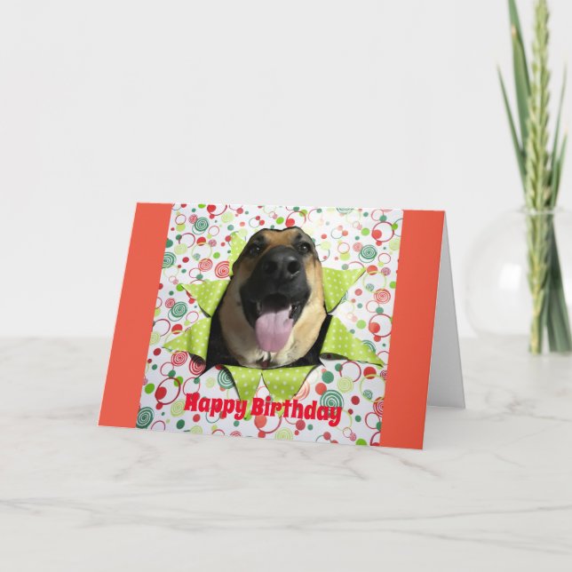 Tarjeta Bust Out German Shepherd Birthday Greeting Card (Anverso)
