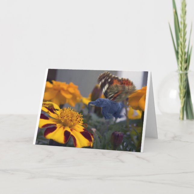 Tarjeta Buttephant (Anverso)