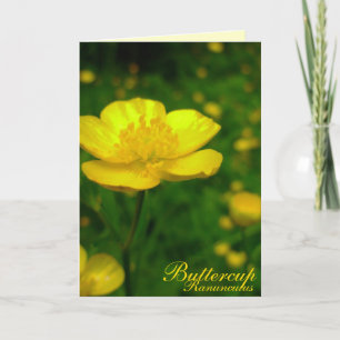 Tarjeta Buttercup Flores salvajes Tarjetas persona