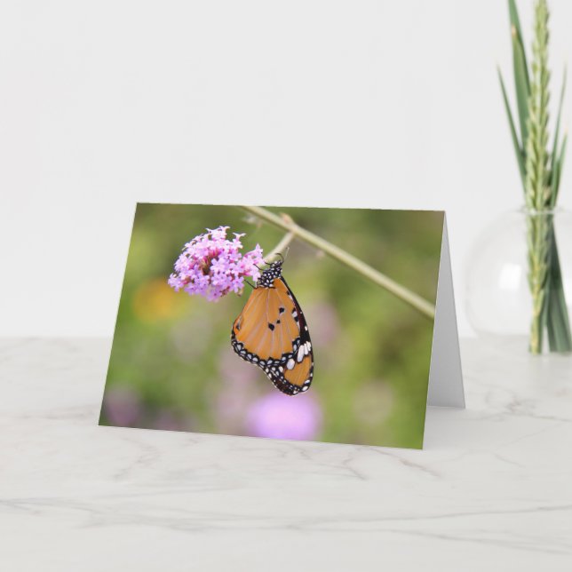 Tarjeta Butterfly on Flower Greeting Card (Blank Inside) (Anverso)