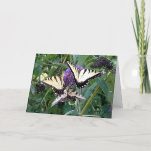 Tarjeta butterflys del trío
