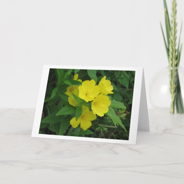 Tarjeta Buzón (Anverso)