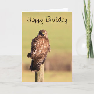Tarjeta Buzzard