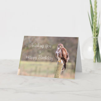 Tarjeta Buzzard