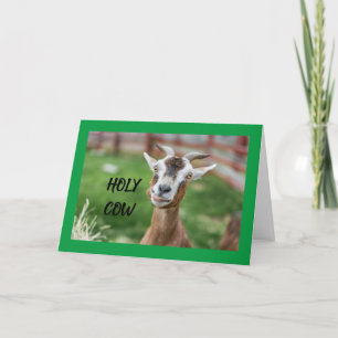 TARJETA CABALLERÍA POR TU **16º CUMPLEAÑOS**