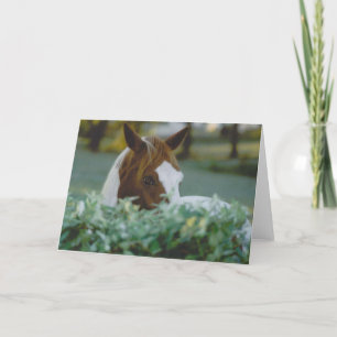 Tarjeta caballo
