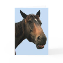 Caballo
