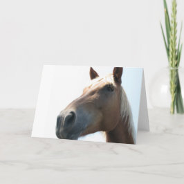 Tarjeta Caballo