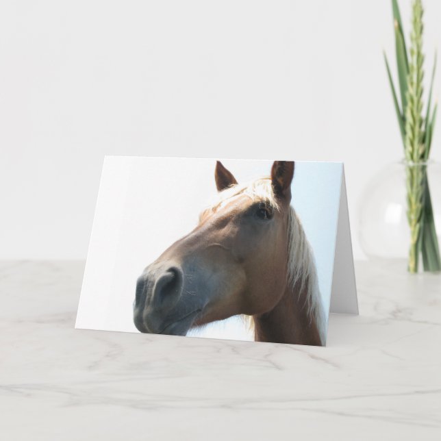 Tarjeta Caballo (Anverso)