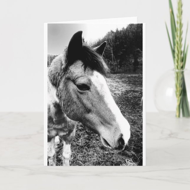 Tarjeta Caballo (Anverso)