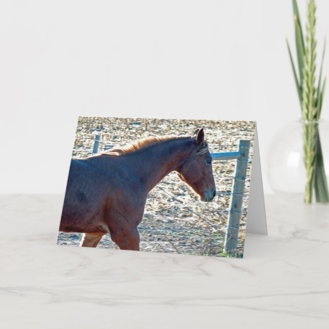 Tarjeta Caballo (Anverso)