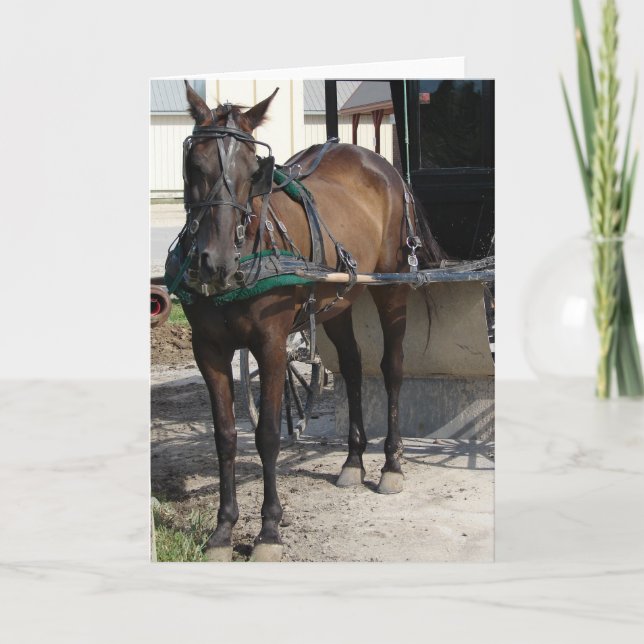 Tarjeta Caballo Amish en la barra de amarre (Anverso)