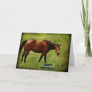 Tarjeta Caballo Bayo, Cumpleaños