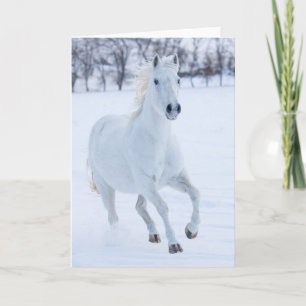 Tarjeta Caballo blanco corriendo en la nieve