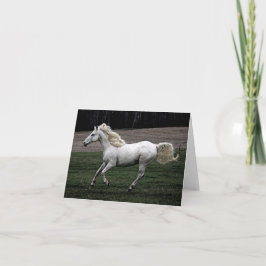 Tarjeta Caballo blanco corriente