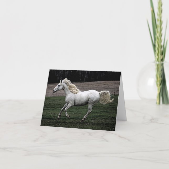 Tarjeta Caballo blanco corriente (Anverso)