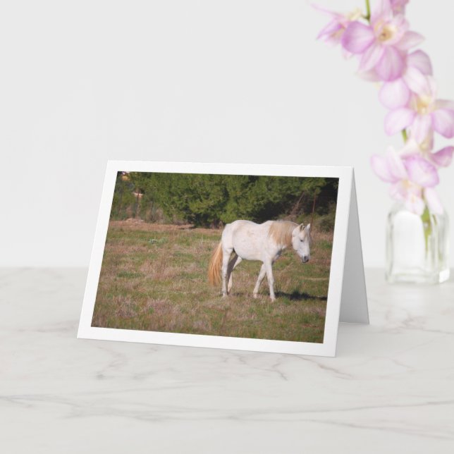 Tarjeta Caballo blanco en campo (Orquídea)