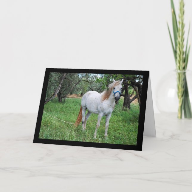 Tarjeta Caballo Blanco en Campo de Hierba (Anverso)