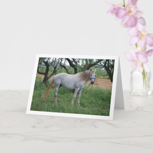 Tarjeta Caballo blanco en campo de hierba (Orquídea)