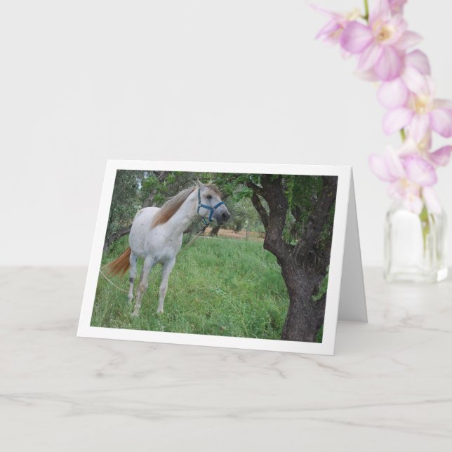 Tarjeta Caballo blanco en campo de hierba (Orquídea)