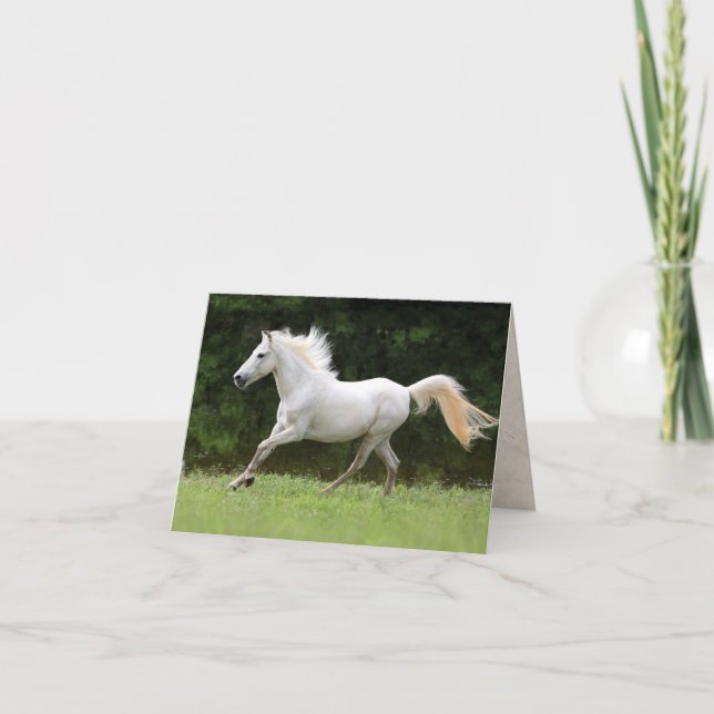 Tarjeta Caballo blanco galopante (Anverso)