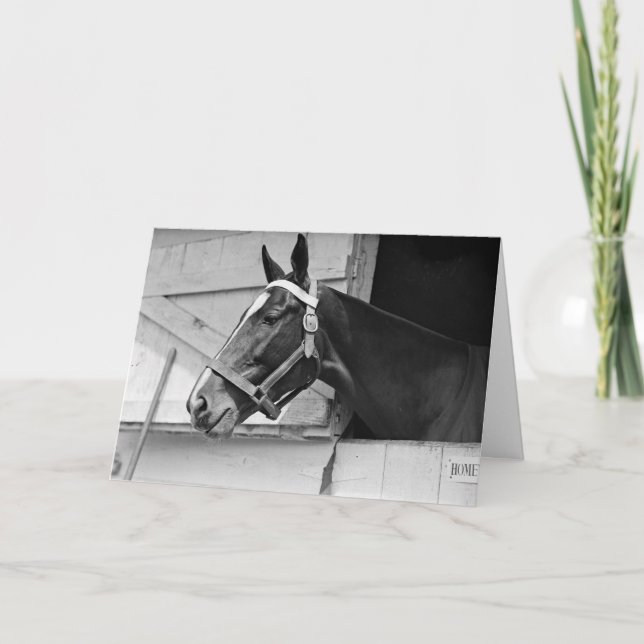 Tarjeta Caballo blanco y negro, cumpleaños (Anverso)