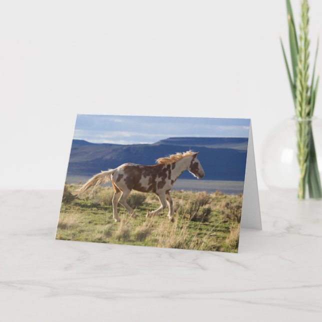 Tarjeta Caballo Corriendo, Montañas Steens, Oregon (Anverso)