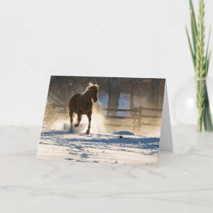 Tarjeta Caballo corriendo por la nieve