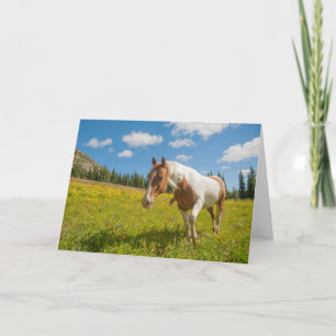 Tarjeta Caballo curioso en una pradera alpina en verano
