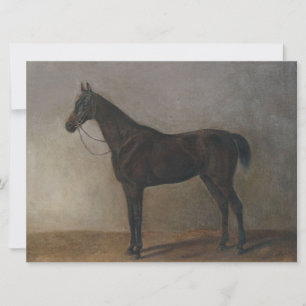 Tarjeta Caballo de gelatina marrón oscuro (arte animal vin
