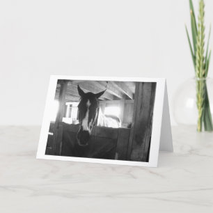 Tarjeta Caballo de granero