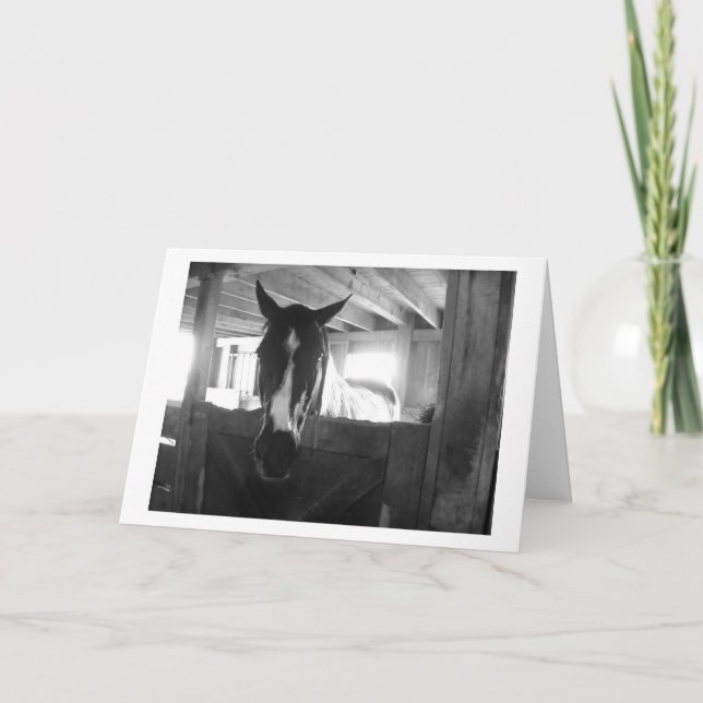 Tarjeta Caballo de granero (Anverso)