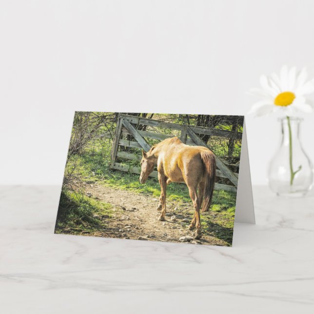 Tarjeta Caballo de Granja Rústica (Planta pequeña)