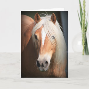 Tarjeta Caballo de Haflinger