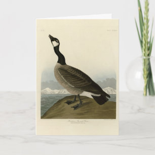 Tarjeta Caballo de los pájaros de América de Audubon