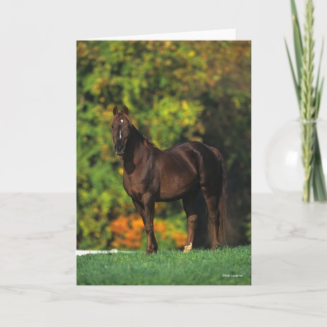 Tarjeta Caballo de Montaña Rocky Bob Langrish de otoño (Anverso)