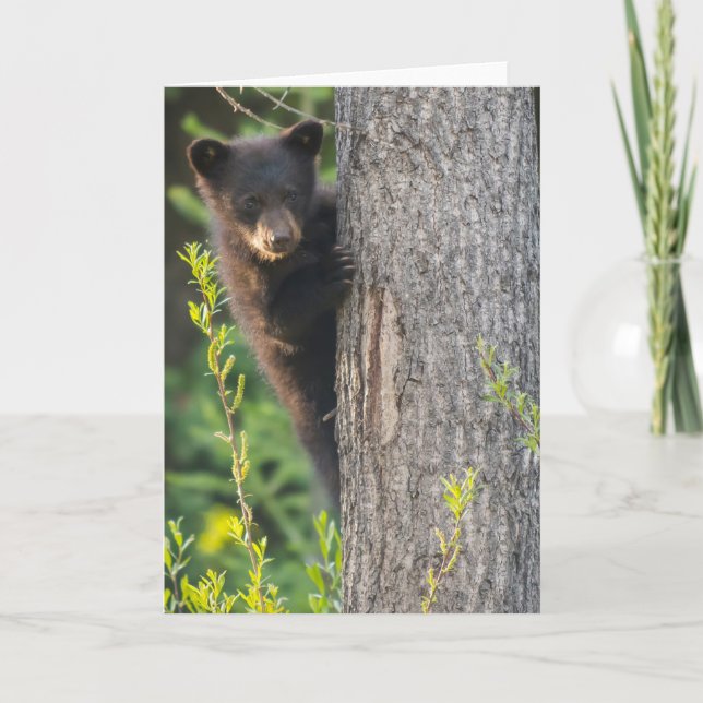 Tarjeta Caballo de oso negro en primavera (Anverso)