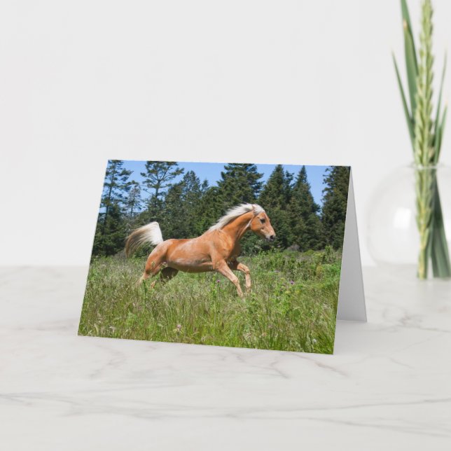 Tarjeta Caballo de Palomino corriendo a través de un prado (Anverso)