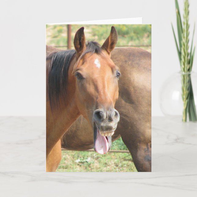 Tarjeta Caballo de risa (Anverso)