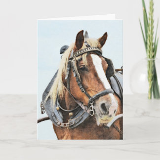 Tarjeta Caballo de tiro en el cumpleaños del arnés