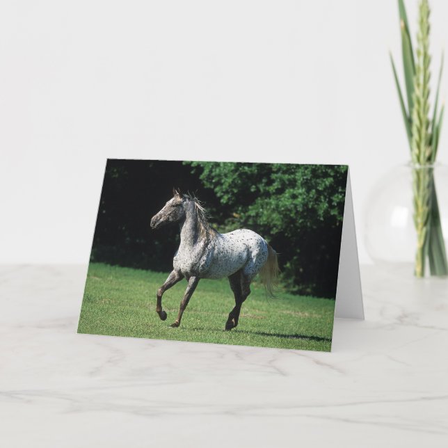 Tarjeta Caballo del Appaloosa que corre 2 (Anverso)
