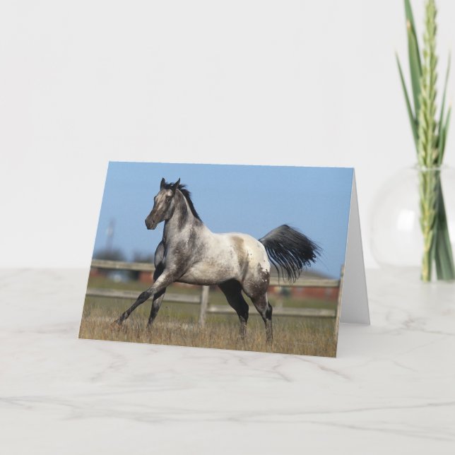 Tarjeta Caballo del Appaloosa que corre 3 (Anverso)