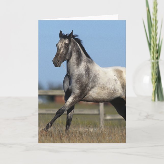 Tarjeta Caballo del Appaloosa que corre 3 (Anverso)