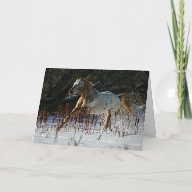 Tarjeta Caballo del Appaloosa que corre en la nieve (Anverso)